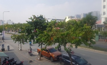 Bán đất mặt Sài Gòn 5 Rivier Mark Trần Não