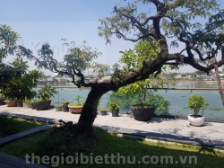Biệt thự đẹp ven sông Sài Gòn đường Nguyễn Văn Hưởng bán